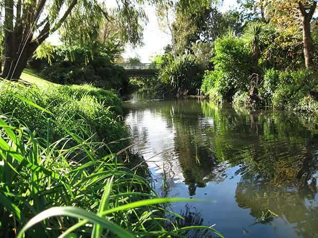 Looking along a local stream