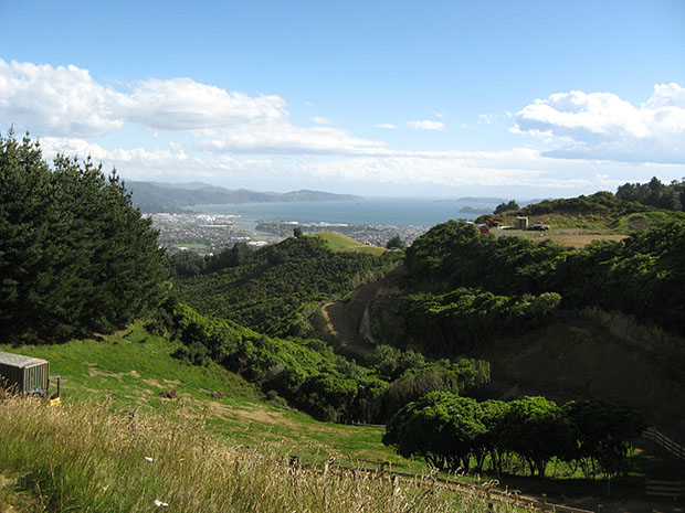 Looking across to Wellington Harbour